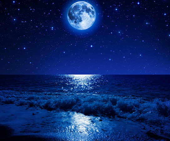 【12月14日】ハッピーチャンス！満月の日にロゼワインを飲むジンクスとは？