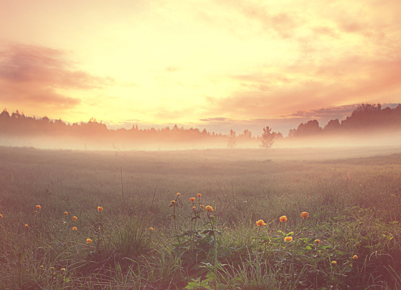 感性を育む。平安の切ない恋物語とは【1月11〜15日】