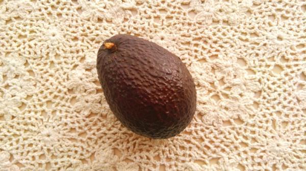 ミキサーにかけるだけ！美肌効果◎な【アボカドムース】レシピ