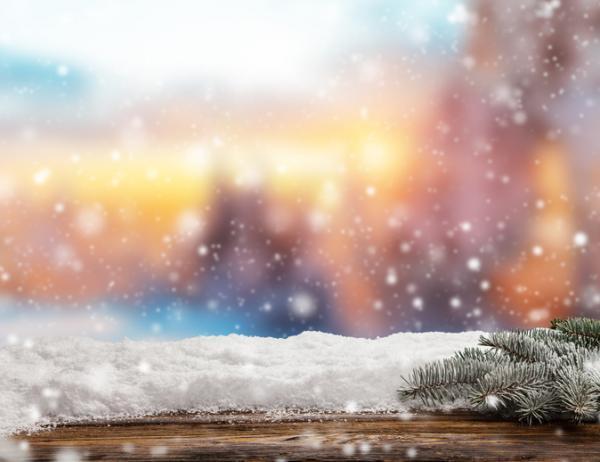 日常に癒しを見出す。雪の美しさを堪能するための話【1月21〜24日】