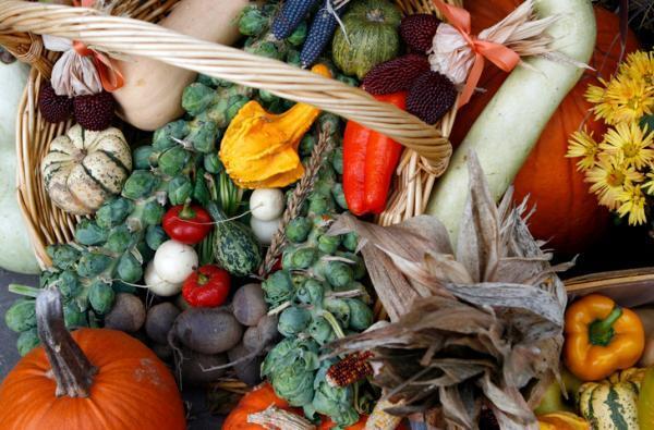 グルテンフリー・低炭水化物！話題の【インディアンフード】って？