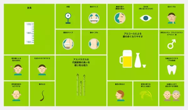 ここまで分かる！自分の体を知る「検査」あれこれ！