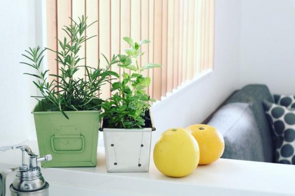 NYで流行中のハーブアレンジって？30代女子の不安定なカラダには「ハーブ習慣」