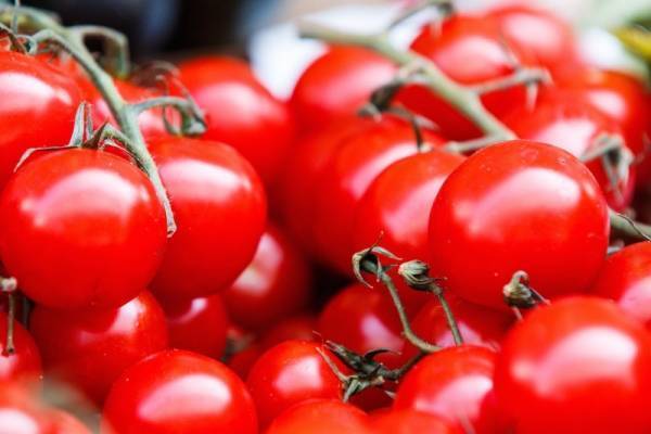 目の下のシワが改善！？エイジレスな目元に導くトマトの驚くべき美容効果とは