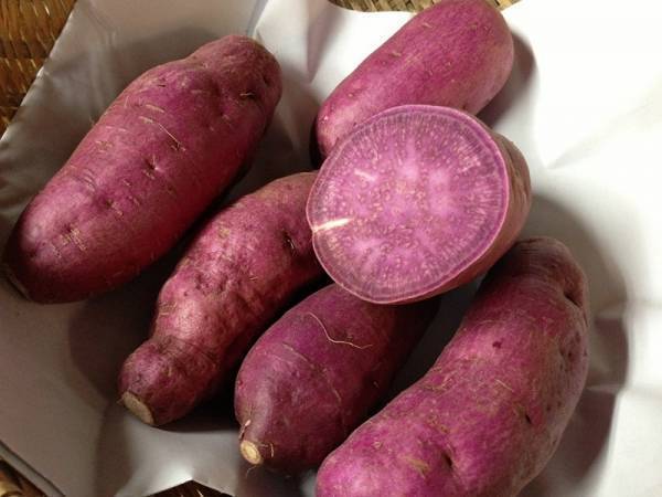 2018年ブレイク間違いなし！美女になれるジャパニーズスーパーフード5選