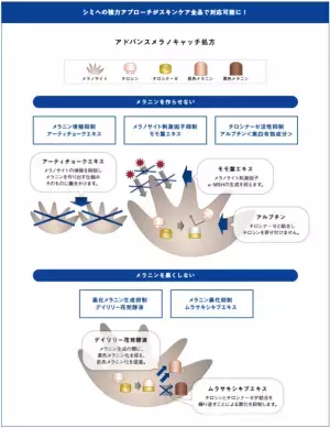 美白化粧水の選び方と優秀ブランドは？本気で続けたいシミケアに！