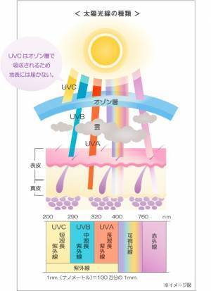 【特集】オーストラリアで話題の新作！敏感肌さんに嬉しい日焼け止め
