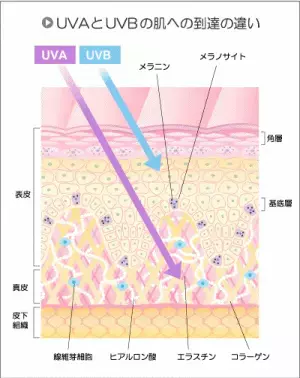 【特集】オーストラリアで話題の新作！敏感肌さんに嬉しい日焼け止め