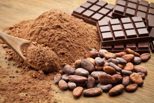 「チョコレートフォーラム2019」で高カカオチョコレートの便通改善効果と美肌効果を再確認！