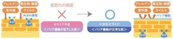 シミシワの約8割は紫外線が原因！？実力派の「美白美容液」に注目