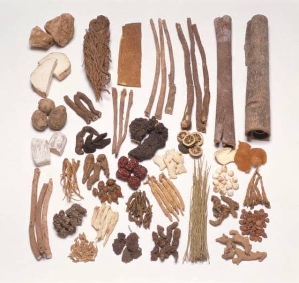 冷え症、便秘、ニキビ…辛い症状の味方「漢方」をバーチャル見学で学ぼう！