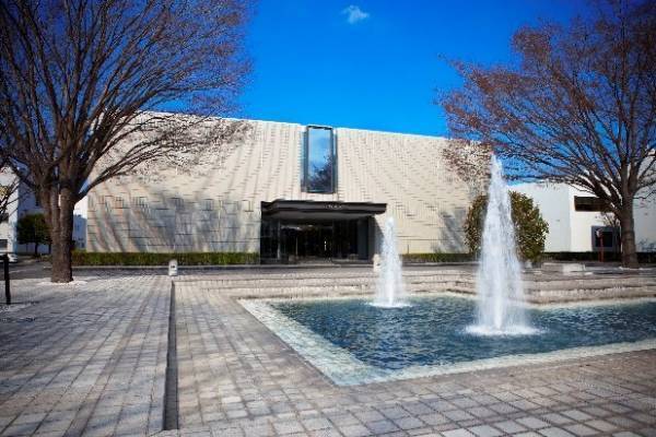 冷え症、便秘、ニキビ…辛い症状の味方「漢方」をバーチャル見学で学ぼう！