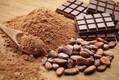 コロナの今、高カカオチョコレートがおすすめの理由とは。コロナ太り対策や認知機能低下抑制にも期待！