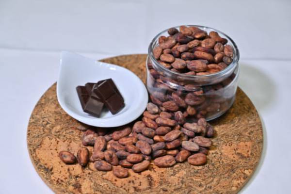 コロナの今、高カカオチョコレートがおすすめの理由とは。コロナ太り対策や認知機能低下抑制にも期待！