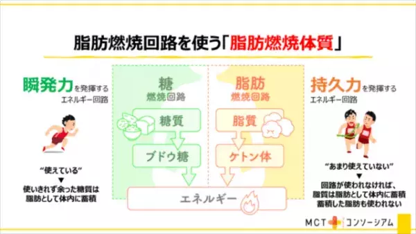 「油が健康に悪い」はウソ！ダイエットに効果的と話題の『MCTオイル』徹底解説！