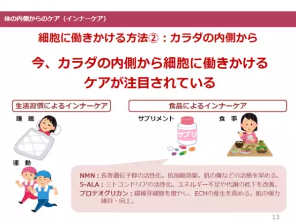 肌のハリは内側から作る時代！美肌成分を生み出す「プロテオグリカン」に注目！