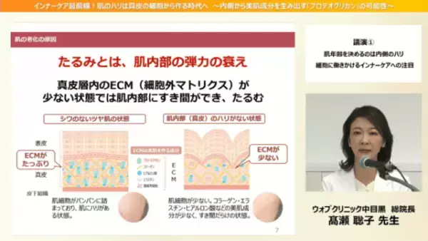 肌のハリは内側から作る時代！美肌成分を生み出す「プロテオグリカン」に注目！