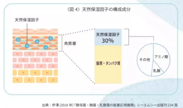 乳酸菌が美肌作りにも良いって知ってた!? おすすめ乳酸菌アイテム5選♡