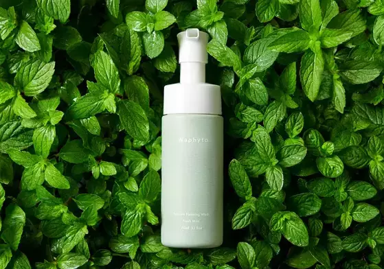 蒸れる季節も清潔に！おすすめデリケートゾーン用ソープ6選