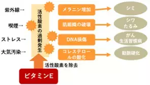 夏の美容と健康をサポート！プロが語る「アーモンドミルク」のスゴさとは？