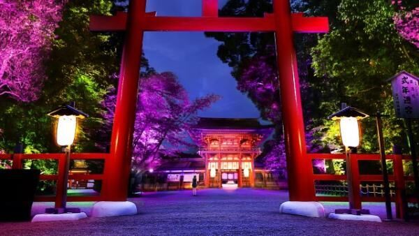 京都・下鴨神社で「糺の森の光の祭」開催。チームラボが世界遺産をアート空間に！