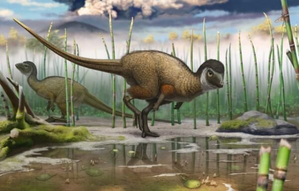 恐竜博2016が大阪に上陸！スピノサウルスとティラノサウルスの二大肉食恐竜が競演