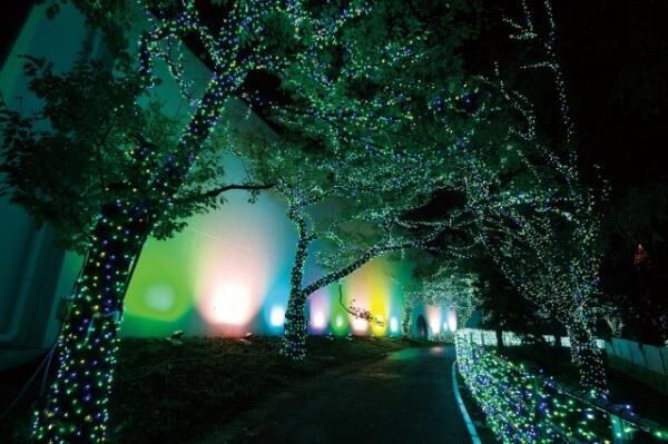 500万球の宝石色の輝き！よみうりランドジュエルミネーションが10月14日から開催