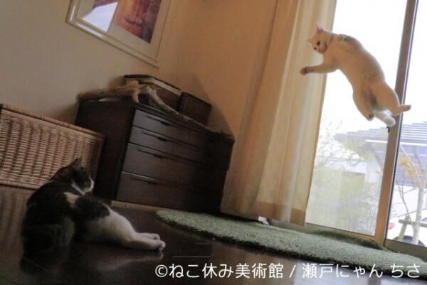 「ねこ休み美術館」東京・大阪・札幌で開催決定！猫と名画のにゃんとも素敵なコラボ