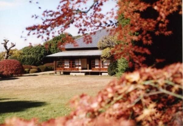 秋の行楽シーズンにぴったり！千葉県松戸市秋のイベント、紅葉スポット5選
