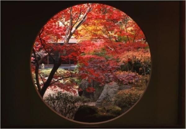 秋の行楽シーズンにぴったり！千葉県松戸市秋のイベント、紅葉スポット5選