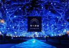 幻想的イルミネーション「青の洞窟」が2年ぶりに復活！渋谷が青い光に包まれる