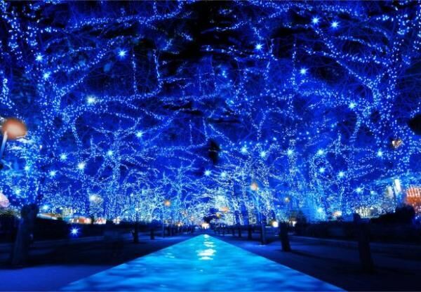 幻想的イルミネーション「青の洞窟」が2年ぶりに復活！渋谷が青い光に包まれる