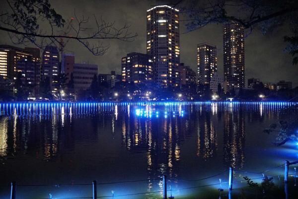 夜のアートイベント・シリーズ『上野夜公園』が開催！いつもと違った上野公園を散策しよう