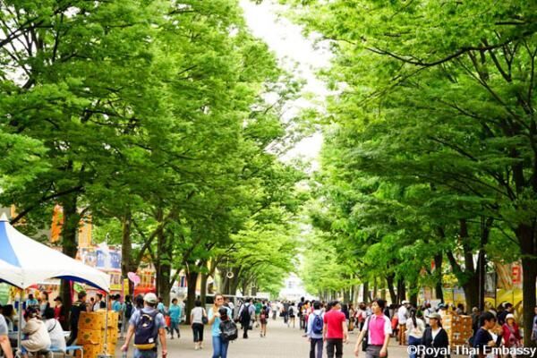 タイフェスティバル2017 開催！1年で最も代々木公園がアツくなる！