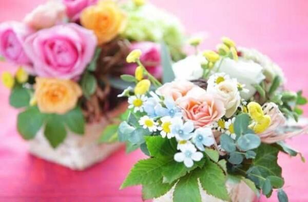 星野リゾート トマムで「花咲くトマム2017」が開催決定！花景色を堪能しよう