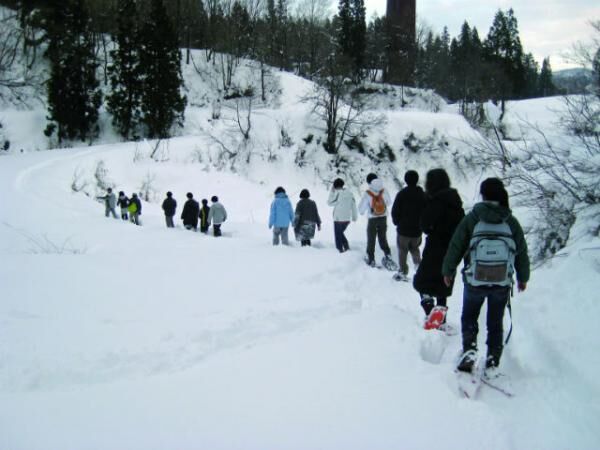大地の芸術祭の「SNOWART TRAIL」で、この冬だけのアートに会いに行こう！