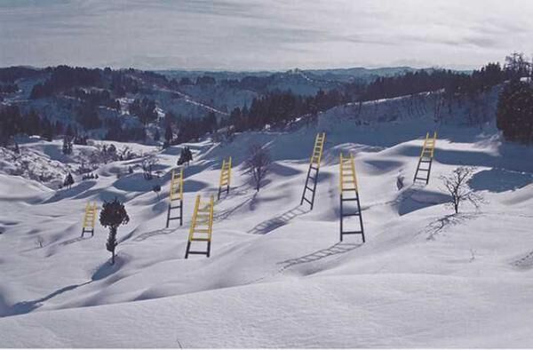 大地の芸術祭の「SNOWART TRAIL」で、この冬だけのアートに会いに行こう！