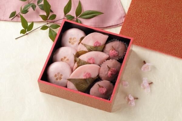 花見のおともや手土産に！東京駅で買える桜メニュー＆桜アイテム情報を大公開