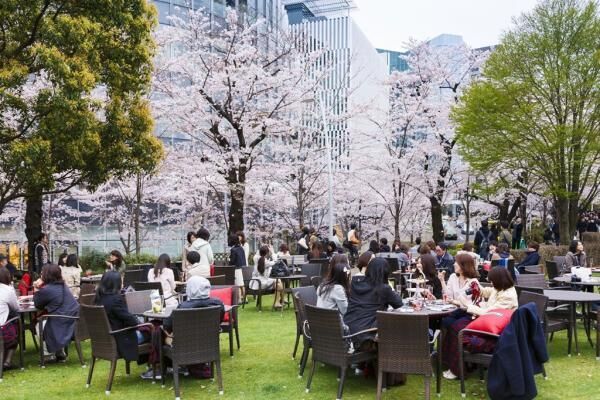 東京ミッドタウンに春が来た！「ミッドタウン・ブロッサム」で都心ならではの花見を楽しもう