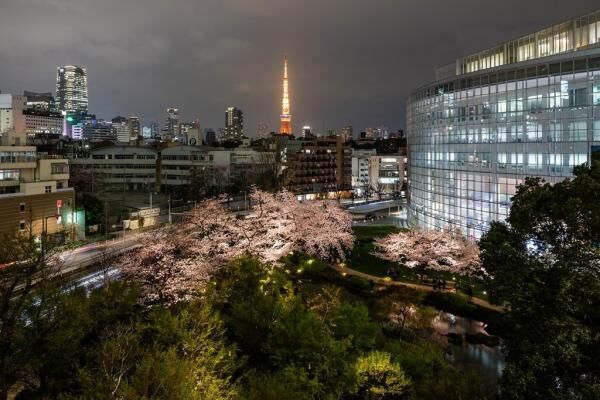 3月31日から六本木ヒルズ「春まつり2017」開催！桜を愛で、五感でお花見を体験しよう