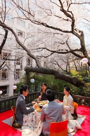 幻想的な夜桜ライトアップや日本文化体験も！「高輪桜まつり 2017」が3月19日から開催