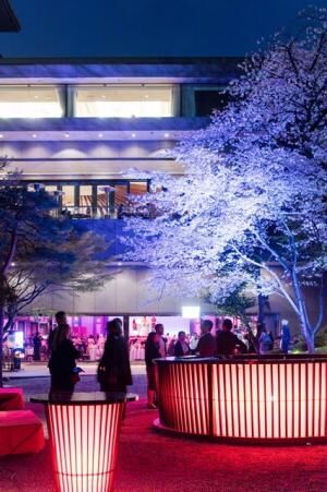 満開の夜桜と江戸の粋を全身で堪能！八芳園で桜花爛漫祭「YATAI」が3月29日から開催