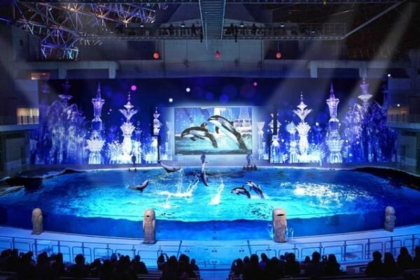 4月28日から新ショー開催！八景島シーパラダイス「海の動物たちのショー」を見に行こう