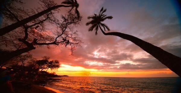 プラネタリウム“天空”で、ハワイの自然と癒しの音楽を体感しよう！