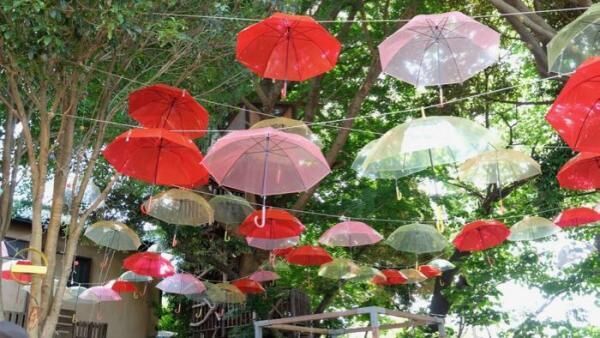 梅雨でもワクワクしよう！フォトジェニックなumbrella forest「傘の森」登場