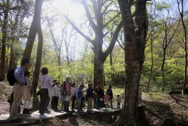 ポーラ美術館「情熱のピカソ・ウィーク」で芸術を堪能。夏休みはピカソに親しもう