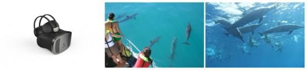 イルカと泳ぐVR体験！『HAWAI&amp;#39;I EXPO』にドルフィン＆ユーが出展！