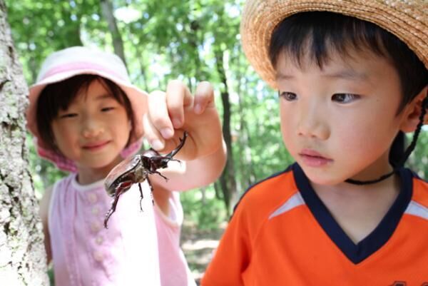 栃木・ツインリンクもてぎで「夏もいただき 森の冒険家族」開催！真夏の森を冒険しよう