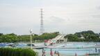 坂戸市民総合運動公園の夏季プール開催中！多彩なプールで夏を満喫しよう