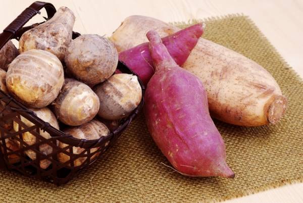 栄養士が伝授！秋野菜を上手に食べるコツ